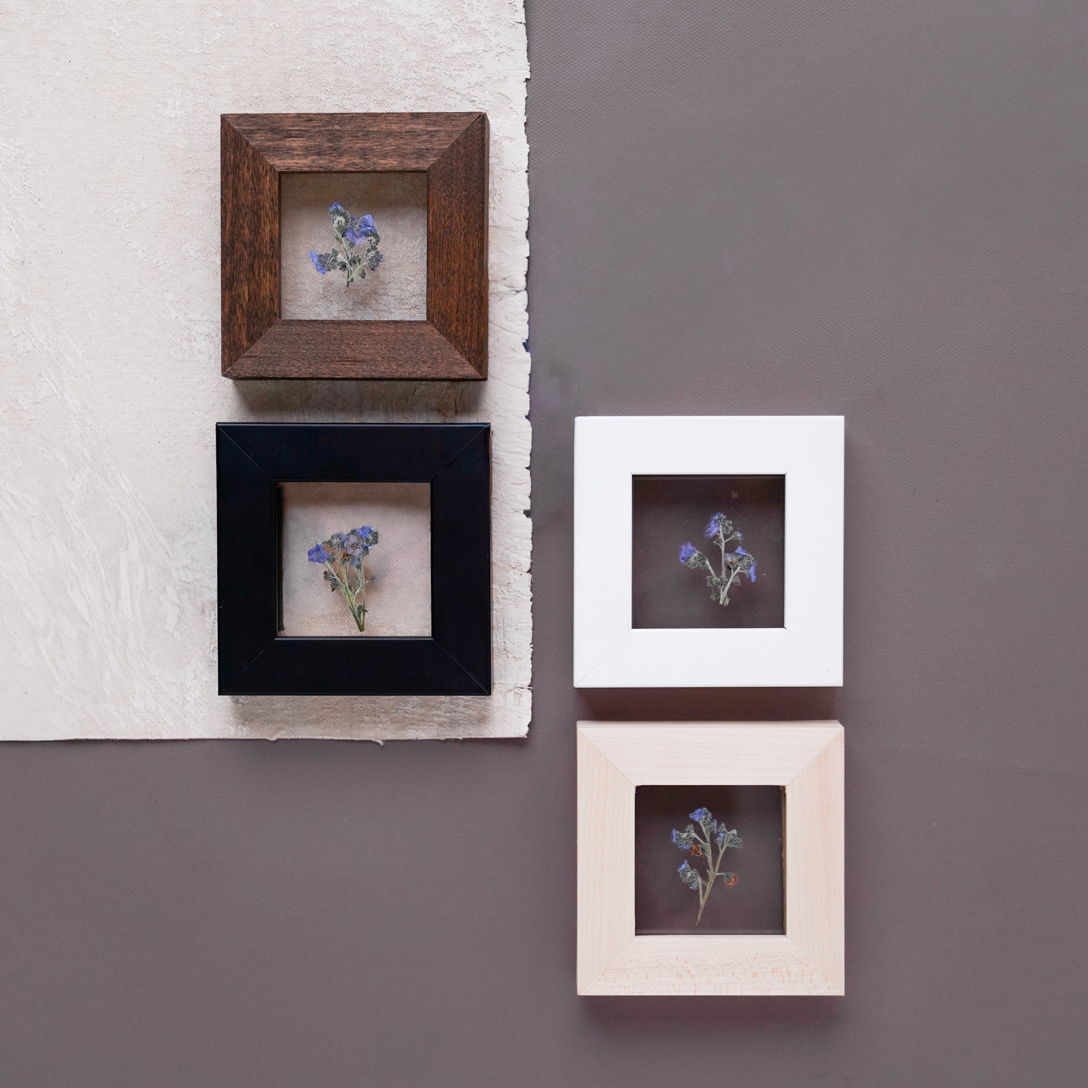 Mini Forget-Me-Not Frame